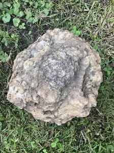 13 Lb + Indiana Geode Crystals , minerals,fossil Intact Jewelry Lapidary - Imagen 1 de 3