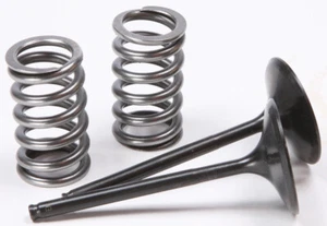 Pro X Steel Valves and Spring Kits 28.SIS1409-2 - Picture 1 of 1