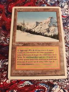 Taiga-FWB-Italian Revised - NM Near Mint - Picture 1 of 10