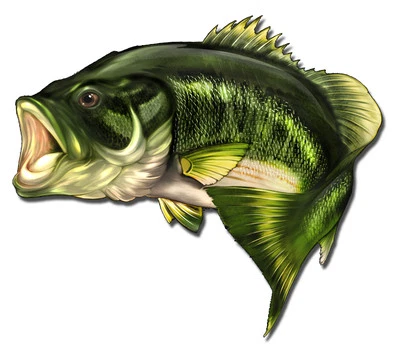 REAL STICKY 6" Large Mouth Bass Fish Sticker Boat Fishing Car Vehicle window bumper decal