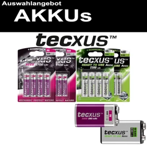 TECXUS AKKU 9V-Block D Mono R20 AAA Micro  C Baby R14 AA R6 Mignon - Bild 1 von 11