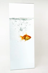 EXPOLINC 4screen Bannerdisplay mit Druck - 85x216cm- Markenqualität - SecondLife - Bild 1 von 7