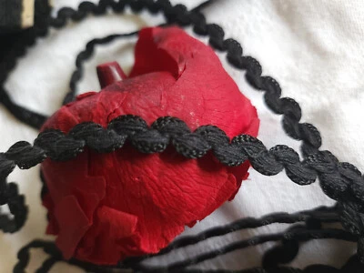 Galon vintage bordure  noir satiné 5 mètres sur 0,7 cm B6 - Photo 1/2