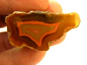 Laguna agate geode cut and polished Mexico 1.7 inch nl8 - Picture 1 of 2