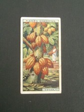  Player's -  Products Of The World (1928) - # 6  Cocoa -1