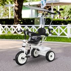Kids Tricycle Trike Children Smart Toddler Ride on 3 Wheels Canopy Handle Safety