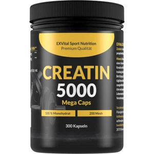 Creatin 5000 Monohydrat von EXVital Sport Nutrition, 300 Kapseln Kreatin - Bild 1 von 8