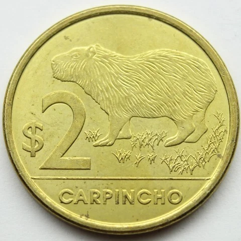 2019 COIN UNC Capybara coin from Uruguay Capi Carpincho Cover