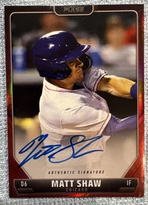 Matt Shaw AUTO 2024 Pulse Ruby /99 CHICAGO CUBS RC On Card Autograph - Picture 1 of 3