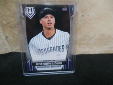 2021 Anthony Volpe Hudson Valley Renegades Team Set #43 card-Yankees!