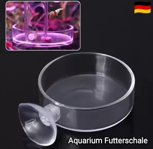 Aquarien Futterschale Garnelen Krebse Fische Für Meer und Süßwasser mit Saugnapf - Bild 1 von 4