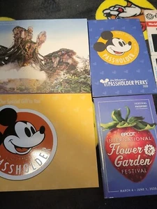 Calamita porta passaporto annuale Topolino classico Walt Disney World 2 libri 1 diapositiva  - Foto 1 di 10