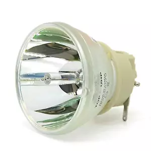 Lampadina proiettore di ricambio per Optoma BL-FU240B/SP.7AF01GC01, HD39Darbee - Foto 1 di 6