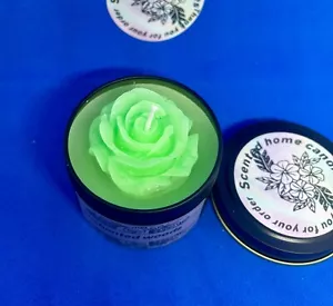 Enchanted woods scented candle - Picture 1 of 4