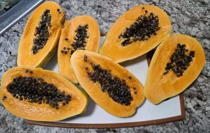 50 Fresh Solo Hawaiian Papaya Seeds NON-GMO Tropical Fruit Seeds for Planting - Picture 1 of 3