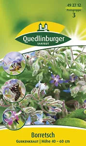 Borretsch Samen von Quedlinburger Saatgut - Bild 1 von 2