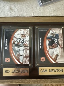 Bo Jackson And Cam Newton Plaque - Picture 1 of 2