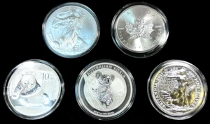 2015 (5) Coin World Silver Set 1oz 999 Eagle, Maple, Panda, Koala, Britannia - Picture 1 of 2