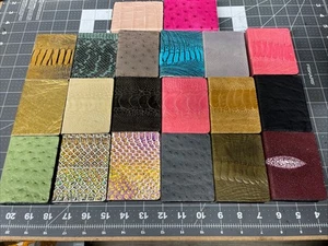 Playing Card Clips Magic Trick - Picture 1 of 1