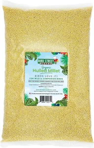 Organic Hulled Millet Bird Seed - Bird Food - Millet for Birds and Canary, Finch - Picture 1 of 12
