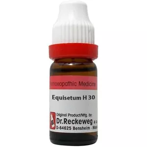Dr. Reckeweg Equisetum Hyemale Dilution 11ml Choose Potency Free Shipping - Picture 1 of 6