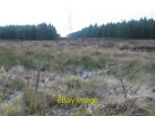 Photo 6x4 Pylons through forest clearing  c2006