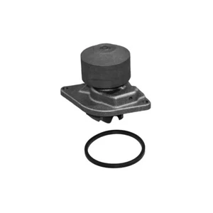 Water Pump For Freightliner XC Lowered Modular Raised Straight Rail 13-18 42133 - Picture 1 of 4