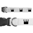 'Royal Crown' Dog Collars (PR019030)