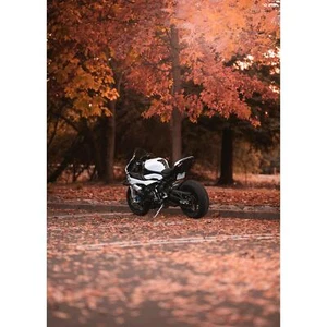 BMW Inspired S1000RR Art Print 098 Stunning Motorcycle Wall Decor for Enthusiast - Picture 1 of 12