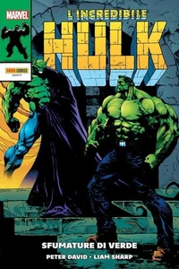L'INCREDIBILE HULK DI PETER DAVID n. 7 SFUMATURE DI VERDE Panini - Foto 1 di 1
