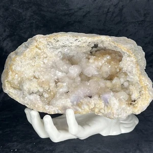 8” Geode Amethyst Spirit Quartz Cluster Crystal Cactus Golden Healer Kentucky - Picture 1 of 12