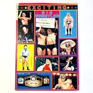 1983 Ric Flair & Hulk Hogan Japanese Jumbo card Wrestling Magazine Bromide Sheet - Picture 1 of 24