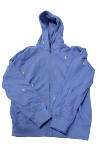 Polo Ralph Lauren Boys Cotton Graphic Embroidered Colorblock Hoodie Blue Size L - Picture 1 of 4