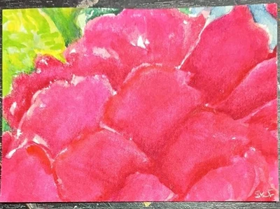 Original ACEO Pink, Red Peony Watercolor Painting by Sharon Foster - Flower - Image 1 of 3
