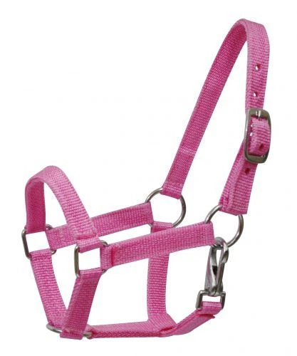 Pequeño - Mediano Poni Talla Caballo 12h - 13h Pesado Nylon Halter Púrpura Rojo Rosa Azul Foto 1 de 1