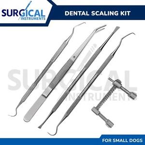 5 Pcs Dental Scaling Kit For Small Dogs Pet Stainless Steel Surgical Veterinary - Picture 1 of 7