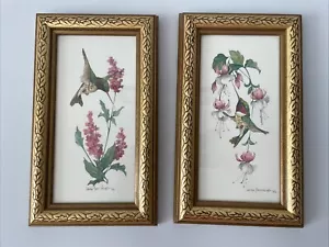 Vintage MCM Hummingbird & Flowers Gold Framed Prints Carolyn Shores Wright Set 2 - Picture 1 of 9