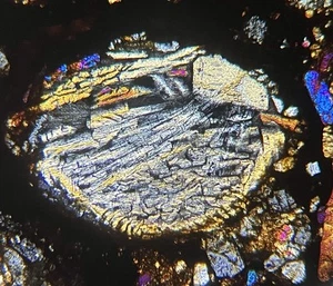 Meteorite NWA 16457 - LL3 Chondrite Chondrules WONDER ! Thin Section - Picture 1 of 15