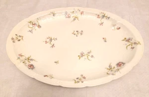 Large Oval Antique Haviland & Co Limoges Serving Platter Blue Floral Pattern - Picture 1 of 10