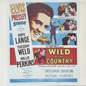 Elvis Presley - Wild In The Country - Belgium 1980's - STUNNING - Picture 1 of 3