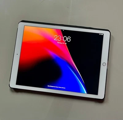 Apple I Pad Pro 12.9 2. Generation, TOP! - Bild 1 von 4