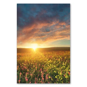 Postereck 3615 Poster Leinwand Sonnenuntergang, Feld Blumen Wiese Natur Sonne - Bild 1 von 7