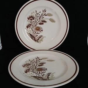 Vtg Set of 2 Royal China, Americana Autumn Mist Pattern 10 1/2" Dinner Plates - Picture 1 of 6