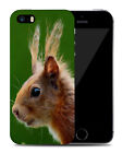 Case Cover For Apple Iphone|cute Adorable Squirrel Rodent #32