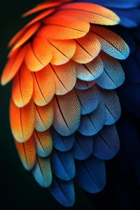 Leinwandbild künstlerisch blau und orange Feder Nahaufnahme Wandbild Poster Druck - Bild 1 von 22