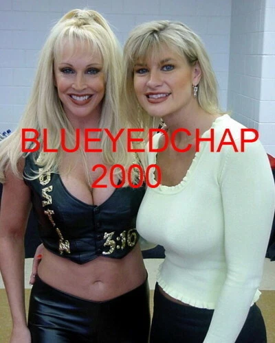 DEBRA MCMICHAEL & KAT VALET / CHICA LUCHADORA 8 X 10 FOTO DE LUCHA LIBRE WWF WCW Foto 1 de 1