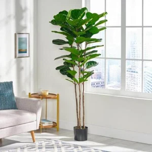 Noble House Artificial Trees 71"H Plastic Indoor Fiddle-Leaf Fig Green+Black Pot - Picture 1 of 7
