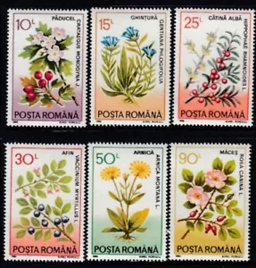 RUMÄNIEN Heilpflanzen postfrisch Set - Bild 1 von 1
