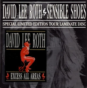David Lee Roth - Sensible Shoes - Used Vinyl Record 5 - N6999z - Picture 1 of 1