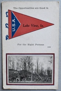 Lake View Iowa Pennant / Bedford Hills NY Vintage Early 1900's POSTCARD - Picture 1 of 3